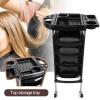 YHHLWXMDZ Salon Trolley Cart, Salon Stations for Hair Stylist, with Worktop, Portable Salon Station, for Barber Shop and SPA Shop view 3