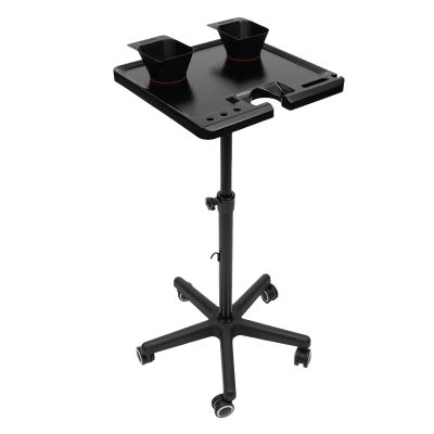 Salon Stations for Hair Stylist, Salon Tray on Wheels,Tray Cart with 2 Magnetic Bowls, for Barber Shop and SPA Shop
