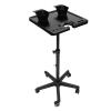 Salon Stations for Hair Stylist, Salon Tray on Wheels,Tray Cart with 2 Magnetic Bowls, for Barber Shop and SPA Shop view 1