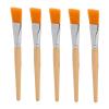 5pcs Makeup Fan Brush Set | Soft High - Density Fiber Wool | DIY Wood Handle Facial Applicator Brush for Mud Cream/Clay Mask/Skincare | Sturdy & Easy to Maintain view 1