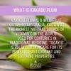 Face Serum with Vitamin C  Kakadu Plum Seed Oil  Lightweight, Fast-Absorbing Formula for Radiant Skin view 4