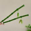 Asian Hair Sticks | Bamboos Shape Hair Chopsticks for Women | Pins Bun Holder Decorative Resin Headpieces Hairpin for Tea Art Display Banquet Etiquette Daily Use view 2