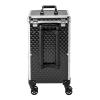 Aluminum Frame Rolling Makeup Train Case, 33Lbs Load-Bearing Cosmetic Trolley with 3-Tier Adjustable Tray & Lockable Design 360 Swivel Wheels, Professional Organizer for Salon, Travel & Stylists view 2