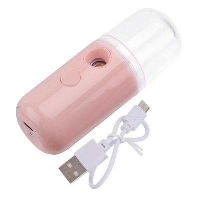 WRITWAA Face Steamer for Dry Skin Mist Facial Steamer Mini Humidifier Hydrating Mister