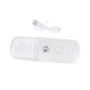 FRCOLOR Handheld Face Sprayer Facial Mist USB Rechargeable Nanometer Spray for Women Face Steamer Humidifier view 1