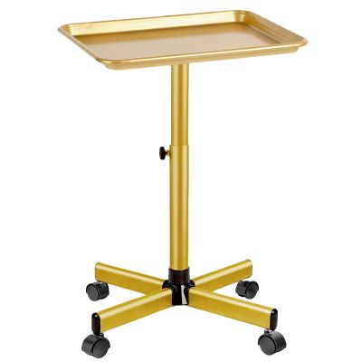 Salon Tray on Wheels, Rolling Tray with Adjustable Height, Metal Feet Salon Service Tray, Ideal Use As Tattoo TrayDental Tray