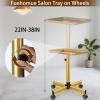 Salon Tray on Wheels, Rolling Tray with Adjustable Height, Metal Feet Salon Service Tray, Ideal Use As Tattoo TrayDental Tray view 2