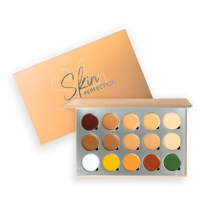 BEMT Skin Perfection Concealer Palette Full Coverage Light Weight Matte Multi-Purpose Palette