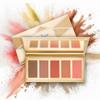 BEMT Artist Blusher Palette for Makeup, Long Lasting with matte and shimmer shade view 1