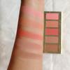 BEMT Artist Blusher Palette for Makeup, Long Lasting with matte and shimmer shade view 2