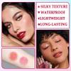 6 Colors Blush Stick,Solid Cream Blush,Multi-Use Blush Stick for Cheeks,Lips and Eye,High Pigmented Blush Makeup Stick Set D view 4