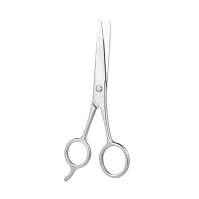 DEARMAMY Stainless Steel Beard Scissors for Men Hairdressing Tool for Daily Beard Eyebrow Care Easy to Use Silver Finish present for Male Friends