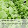 CARR COSMETICS SHISO/PERILLA OIL CLEANSER view 4