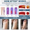 ATTDX Black Cumin Herbal Cream,Effectively reduce leg discomfort (3) view 2