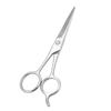 Beavorty Stainless Steel Beard Scissors Eyebrow Scissors Durable Hairdressing Accessory for Daily Grooming and Care Men Silver view 1