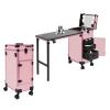 sjcdicnj Portable Rolling Manicure Table for Nail Teach, Foldable Traveling Nail Desk w/Storage, Mobile Nail Table w Adjust Light 3 Drawers Storage, Makeup Train Case Cosmetic Trolley (Pink) view 1