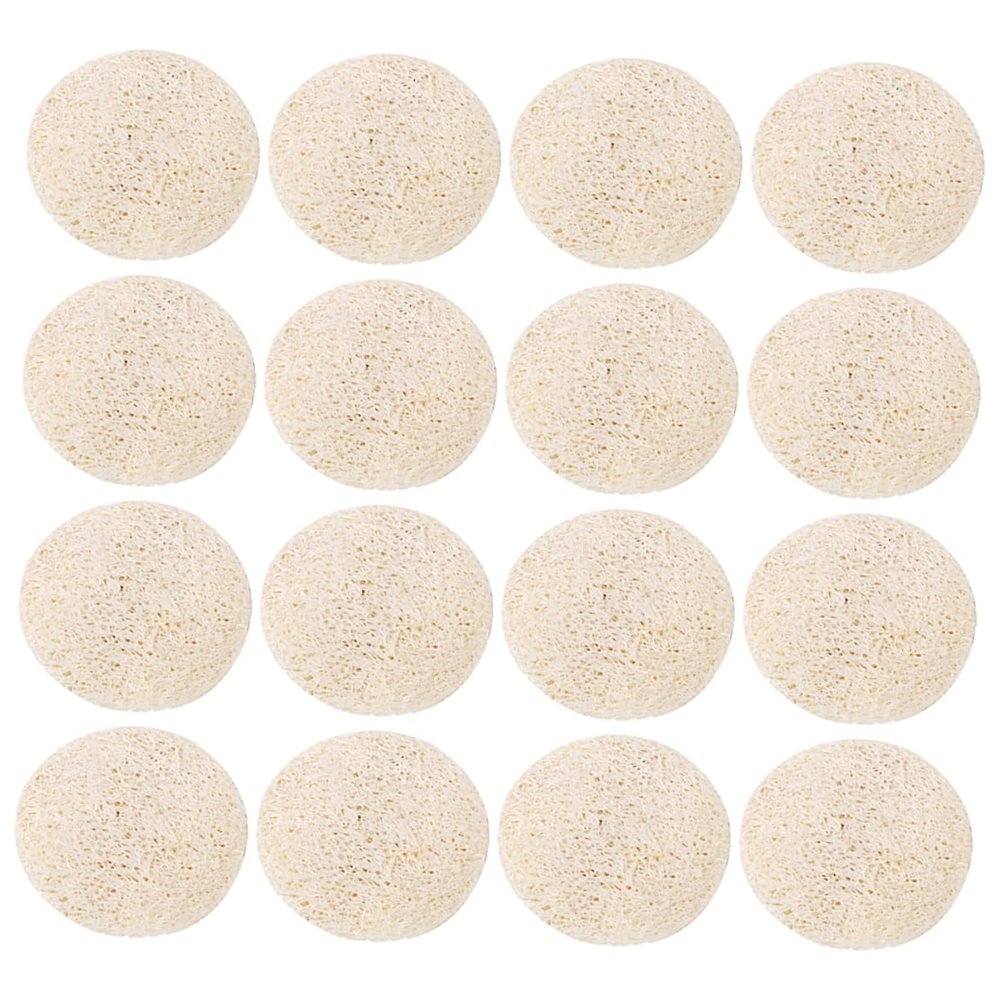 Ipetboom 40Pcs Natural Loofah Oil Absorbing Sheets for Face Unisex Oil Control Tissues Travel Sized Blotting Sheets for Oily Skin Instant Absorption No Residue for Daily Use