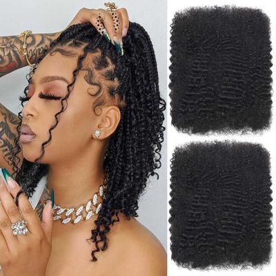 10 Inch Afro Kinkys Bulk Human Hair Afro Kinky-Curly Human Hair for Mini Twist 100g/Pack Natural Black 4C Dreadlock Extensions for Permanent Sister Locs/Mini Twists/Braids/Repair