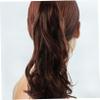 Beavorty Curly Ponytail Extension Clip Soft Synthetic Hairpiece for Everyday Use Drawstring for Natural Look view 2