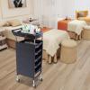 6-Tier Hair Styling Salon Trolley with Wheels,Hairdresser Barber Shop Tool Storage Beauty Hair Dryer Holder Organizer Mobile Barber Station for Hairdresser,Beauty,Tattoo,SPA view 2