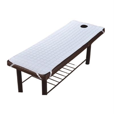 88JUNYh Professional Lash Bed Cover Massage SPA Treatment Bed Cover with Hole Solid Color Salon Table Bed Sheet Beds Mattress Multi Sizes Colors(White,180x60)