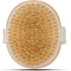 Dry Skin Body Brush Improves Skin's Health and Beauty with Natural Bristle (Pack of 2) | Remove Dead Skin and Toxins, Cellulite Treatment, Exfoliates, Stimulates Blood Circulation view 2