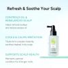 Purifying Hair & Dry Scalp Treatment Mist  Korean Hair Care with Triple Mint Complex for Oil Control, Soothing & Leave-In Conditioner  Paraben, Silicone & Sulfate Free  Green Breeze, 3.38 fl oz view 4