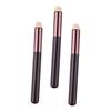 DECOMELODY 3pcs Lip Brush Multi-functional Lip Makeup Applicators for Blending Lipstick and Gloss Mini Smudge Brushes Ergonomic Design for Easy Use and Carrying view 1