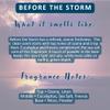 Beard Balm | Leave-in-Conditioner for Beard & Mustache | Natural Ingredients | Shea Butter & Argan Oil | Before the Storm view 2