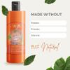Merja Natural Shampoo for Dry and Dyed Hair, Mint Rosemary Lavender Essential Oils, 16.9 Fl Oz and Keratin Hair Mask with Aloe Vera, Honey, and Ginger, 8.41 Fl Oz view 4