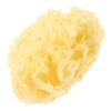 ORFOFE Bath Sponge Natural Honeycomb Body Wash Exfoliating Scrubber for Back Cleaning for Adults and Bathing Accessory for Relaxation and Skin view 1