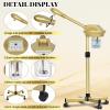 Facial Steamer Professional with More Steam for Deep Cleansing and Hydration, Estheticians Steamer on Wheels with Time Setting, Face Steamer Adjustable Height for Beauty, Spa and Home UseGolden view 2