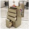 GZHERVICES 4 - Layer Salon Station Storage Cabinet, Beauty Barber Styling Stations Organizer, Hair Stylist Station Set(Gold) view 1