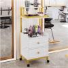 Gold Trolleys, Mobile Storage Cabinets, for Beauty Salons and Hair Salons view 2