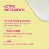 BYOMA Brightening Toner & Body Lotion Bundle - Exfoliating Face Toner + Moisturizing Body Cream with Niacinamide & Azelaic Acid - Hydrates, Evens Tone & Supports Barrier - 5.07 + 13.52 fl oz view 4