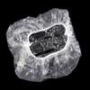100pcs Salon Hotel Disposable one-off Clear Spa Hair Elastic Shower Bathing Caps view 1