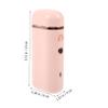 Ipetboom Portable Handheld Facial Mister for Women 300ml Atomization Steamer Rechargeable Face Sprayer for Home and Salon Use view 3