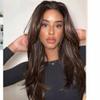 Brown Highlight Color Glueless Lace Straight Layered Cut Wig 13x6 Natural Wave Human Hair Wig With Invisible Lace Front Wig Pre Plucked 150% Density 24Inch view 2
