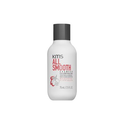 AllSmooth Shampoo, Frizz Control for Medium to Thick, Coarse Hair, 75ml