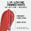 aboutface Cherry Pick Lip Color Butter  High-Shine, Hydrating Lip Balm with Pomegranate Flower Extract & Cherry Butter  Vegan, Cruelty-Free, Clean Beauty  0.06 oz (Peach Punisher  Cinnamon Peach) view 4