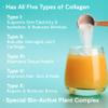 AMAXI Kathy Ireland Multi Collagen Protein Powder Peptides, Types I, II, III, V, X Unflavored, 20g Protein per Serving, Bovine, Chicken, 16 oz view 4