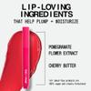aboutface Cherry Pick Lip Color Butter  High-Shine, Hydrating Lip Balm with Pomegranate Flower Extract & Cherry Butter  Vegan, Cruelty-Free, Clean Beauty  0.06 oz (Watermelon Take Flamingo Pink) view 4