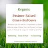 100% Organic Lip Balm Hydrating, Grass-Fed Beef Tallow Lip Balm, Made with Pasture Raised Tallow, Honey, Beeswax, & Orange Essential Oil, Lip Balms & Moisturizers - Bulk Pack of 3 view 4