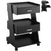 Black Salon Stations for Hair Stylist with Rolling Wheels, Beauty Salon Trolley Cart, Barber Hair Station Organizer,Carrito Auxiliar Para Estetica for SPA Tattoo Bedside Sofa Nail salon (Black Sliver) view 1