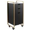 Beauty Salon Trolley Cart, Rolling Salon Station for Hair Stylist with 360 Wheels, SalonTable with 3 Drawers, Stylist Storage Cabinet for Spa Hair Barbershop Equipment view 1