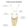 QANYEGN Ladies Facial Hair Remover, USB Rechargeable Electric Hair Removal Device, Face Razors for Women, Chin, Lip, Arms, Legs view 2