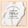 Cheribe Repairing Hair Mask with 100% Natural Chebe Complex + Shea Butter For Dry, Damaged Hair, Detangles, Smooths & Hydrates All Hair Textures 2A-4C & Porosities, Sulfate Free, 8.0 fl oz view 3
