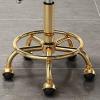 Adjustable Rotating Stool Chair with Rolling Wheels, Ergonomic PU Leather, for Salon, Spa, Tattoo, Beauty Studio view 2