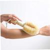 Bath & Shower Dry Skin and Body Brush, Naturals Fibers to Exfoliate Skin, and Reduce Cellulite 2 Pcs view 4