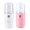 Facial Mister Portable Mini Face Sprayer USB Rechargeable Facial steamers for Hydratin rosy view 3